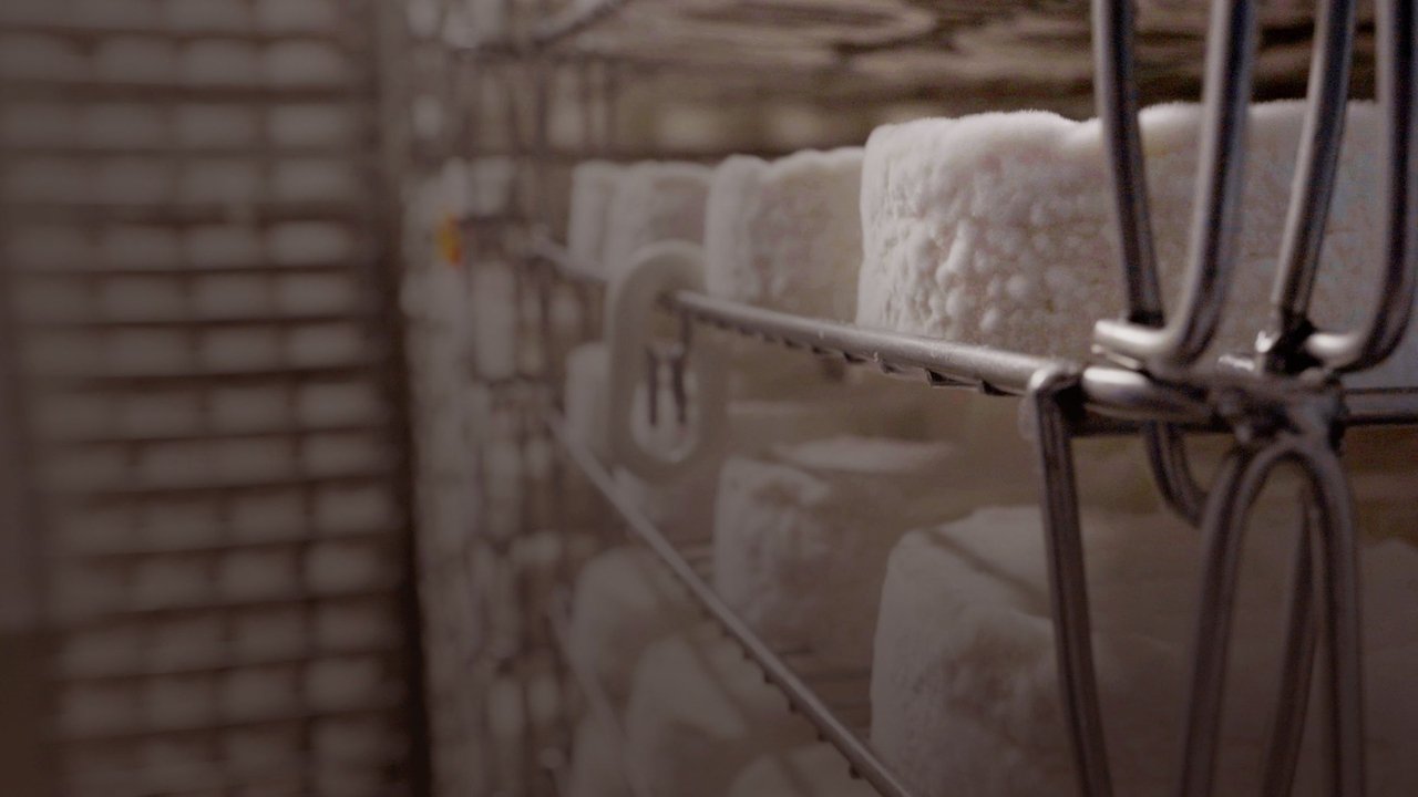Le camembert nous ouvre sa boÃ®te Movie Screenshot 1