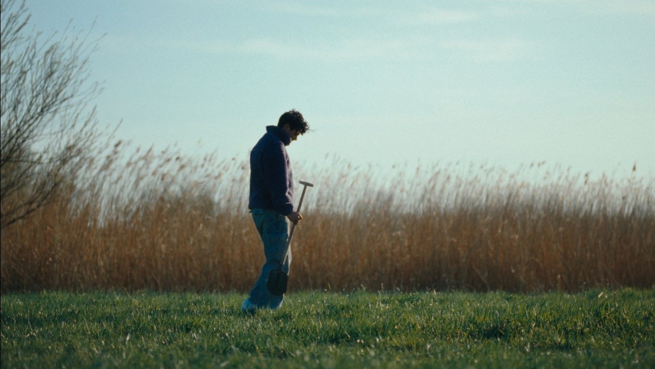 A Quarter Century Tulip Movie Screenshot 1