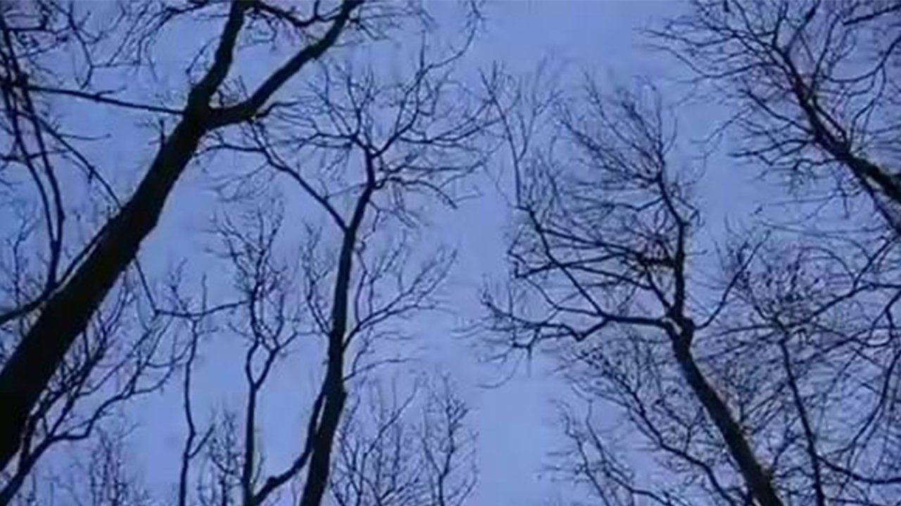 Take the Sound of the Wind Movie Screenshot 4