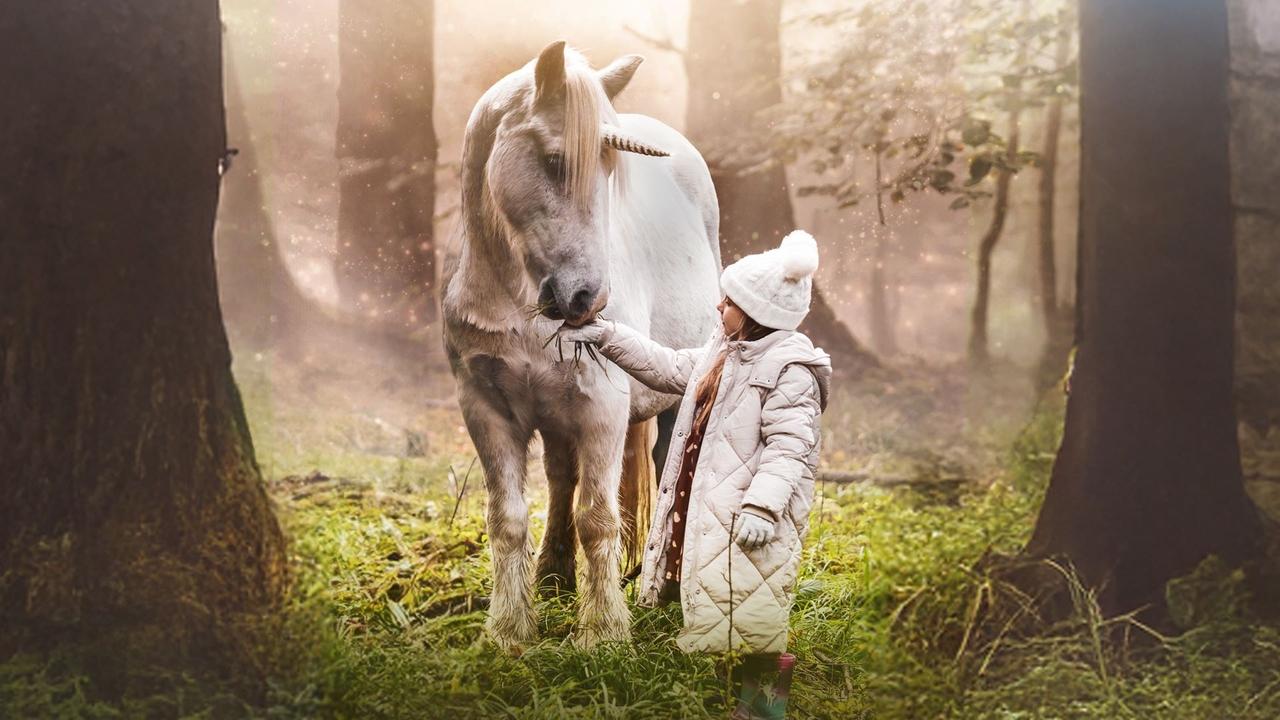 Tale of the Forest Unicorn Movie Screenshot 1