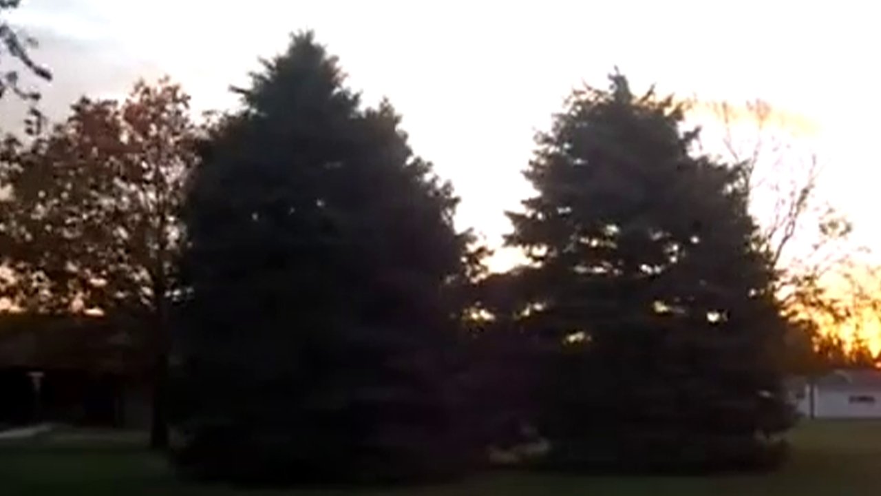 Take the Sound of the Wind Movie Screenshot 2