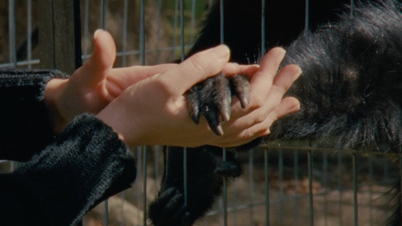 Collective Monologue Movie Screenshot 4
