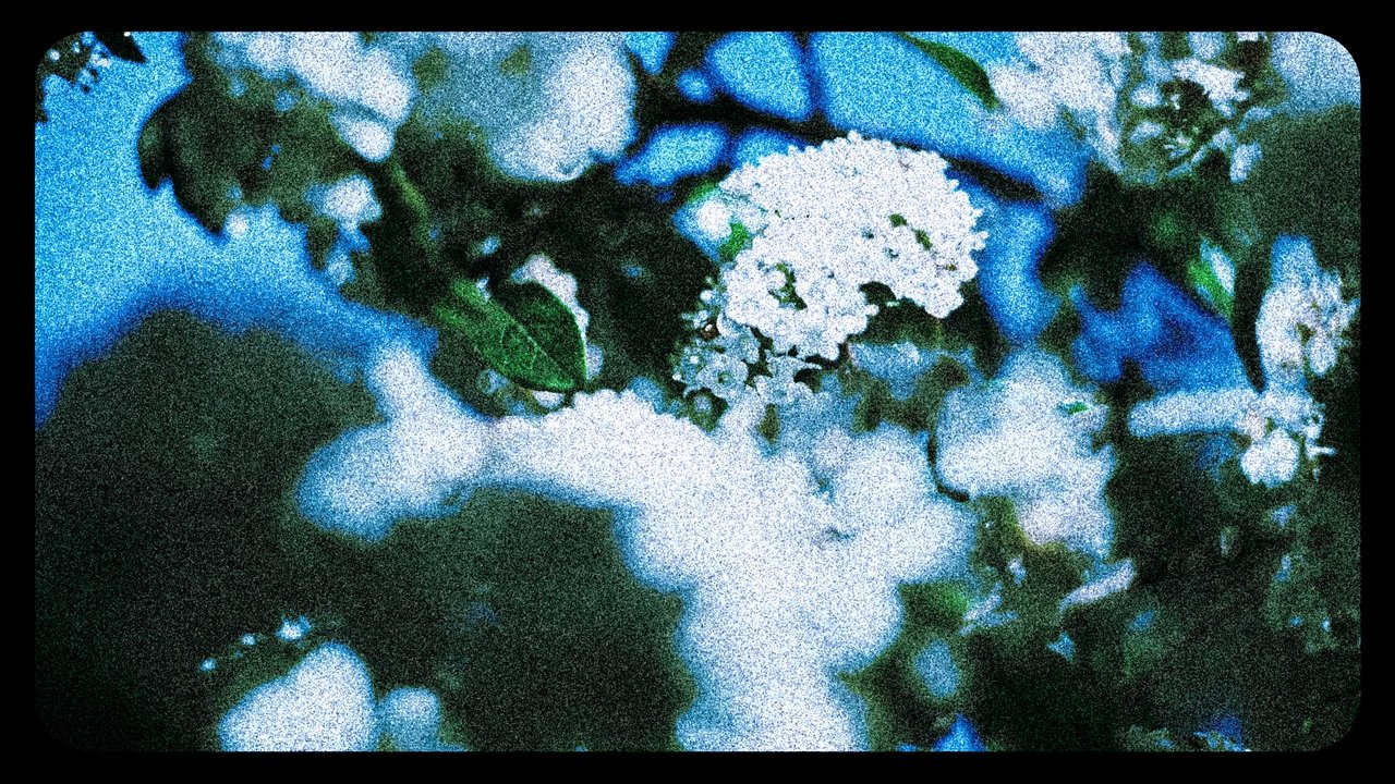 Flowers (III) Movie Screenshot 1