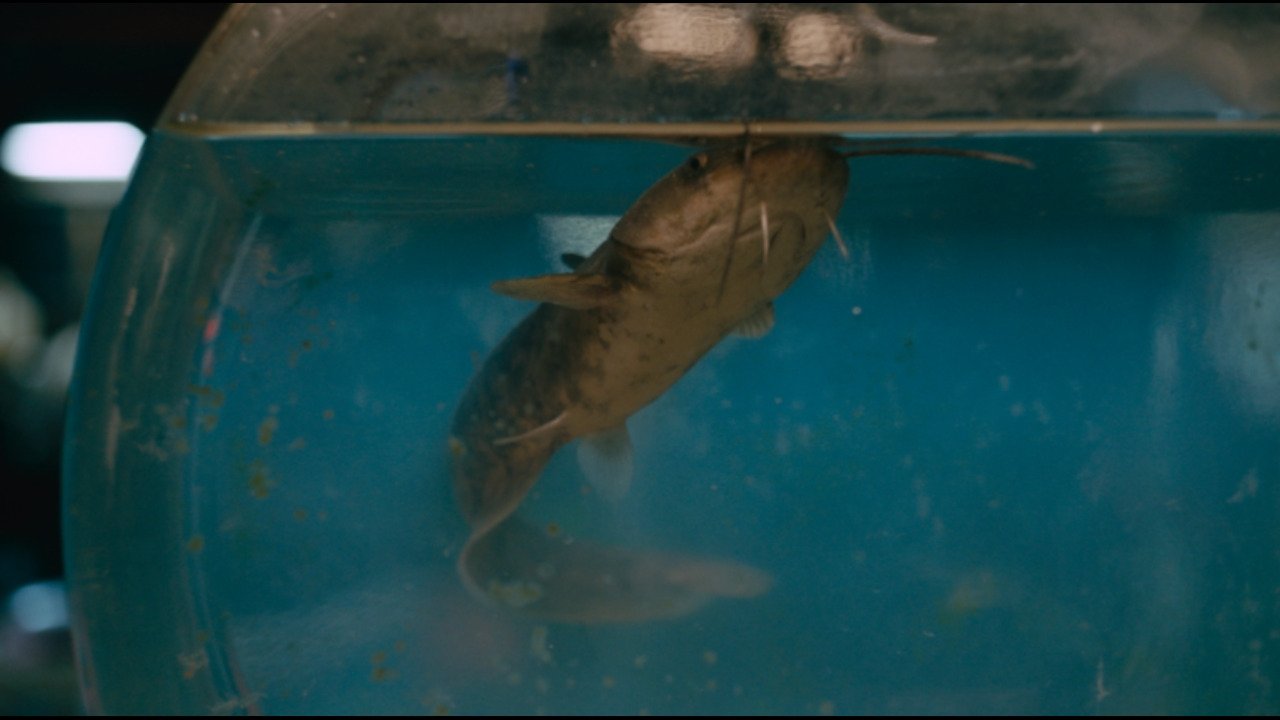 Sugar Glass Bottle Movie Screenshot 1