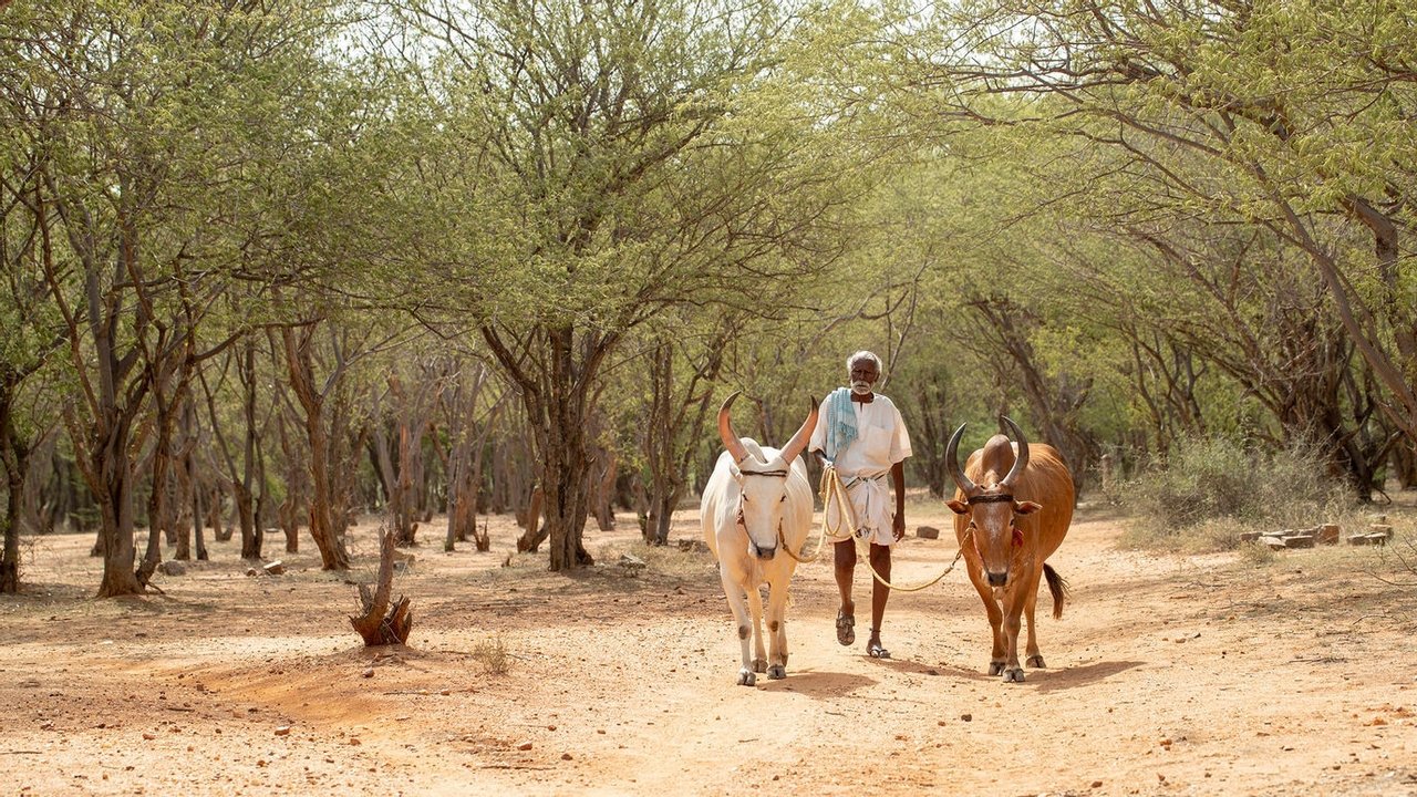 Kadaisi Vivasayi Movie Screenshot 1