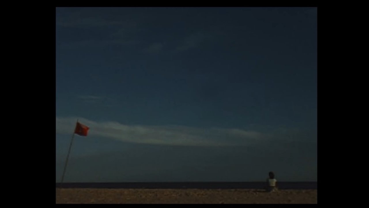 The Girl from the Beach Movie Screenshot 1