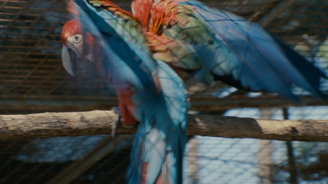 Collective Monologue Movie Screenshot 5