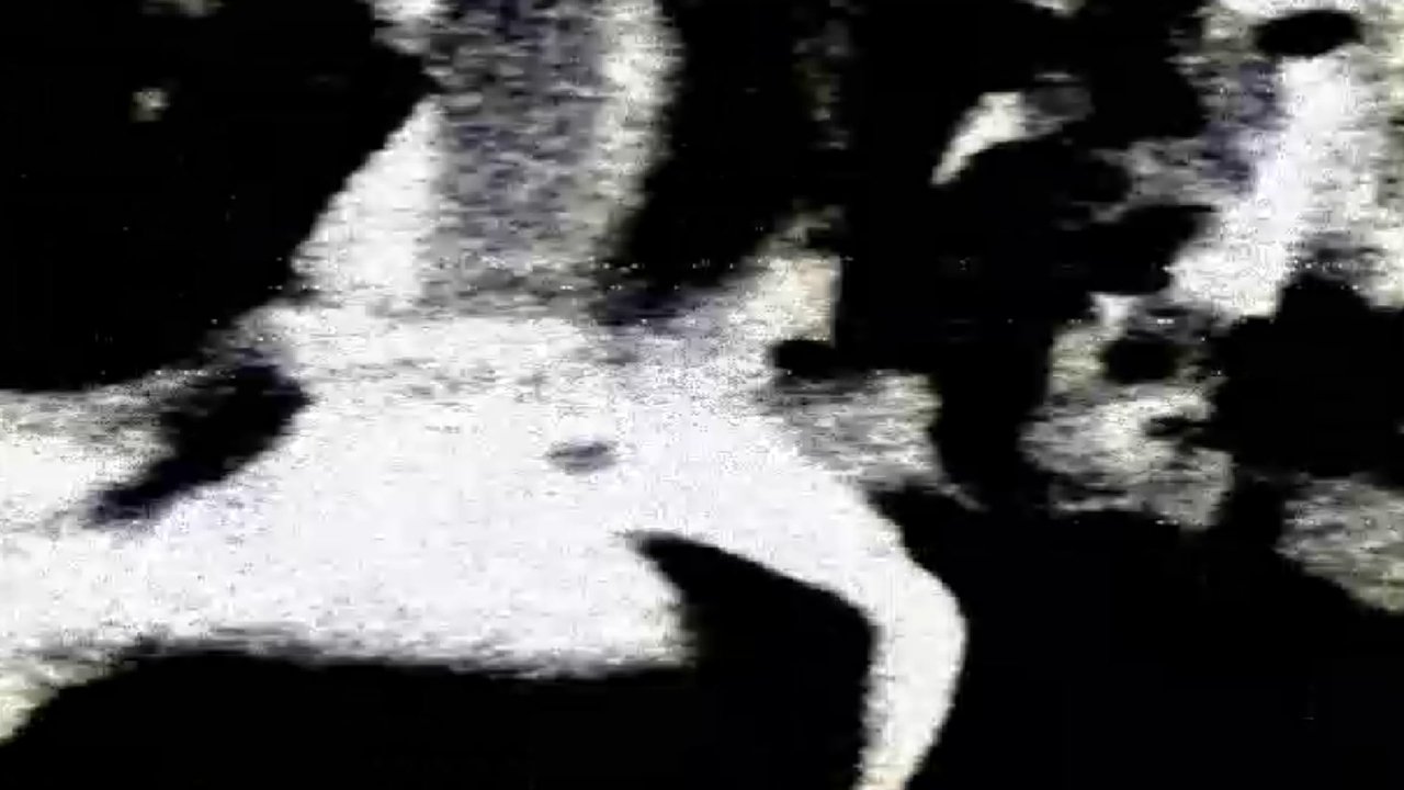 The Essence Of Creation, Lost To The Night Movie Screenshot 1