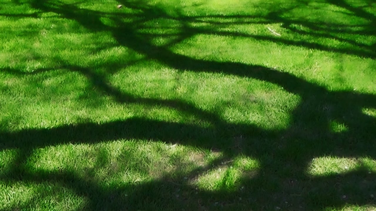 Inspection 02 Movie Screenshot 1