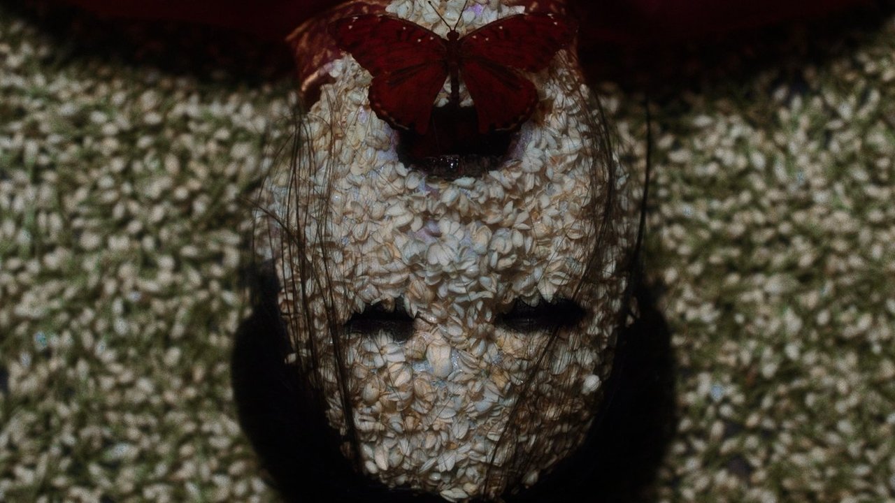 The Butterfly House Movie Screenshot 1