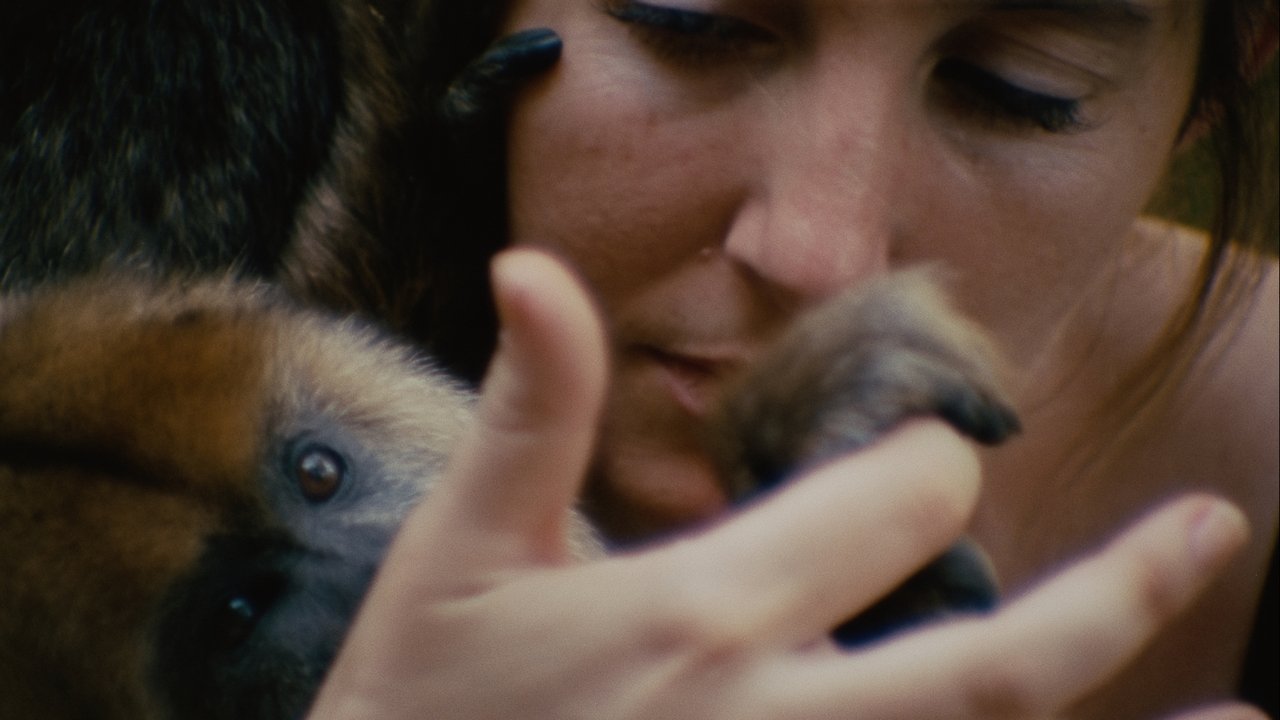 Collective Monologue Movie Screenshot 1