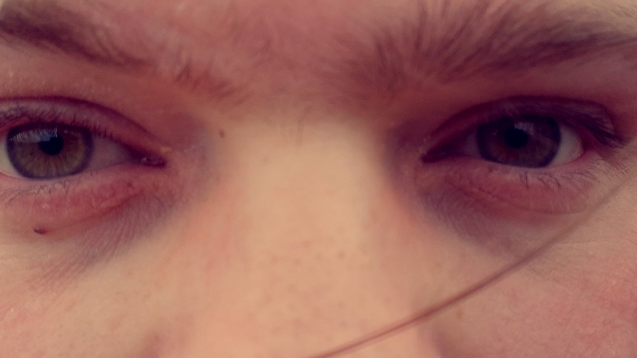 Down We Go Movie Screenshot 2